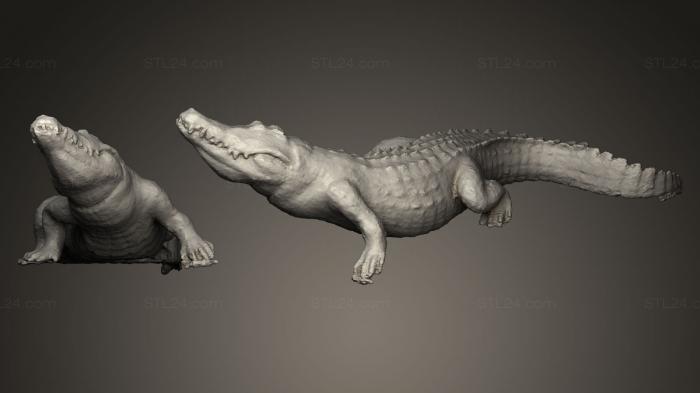 Статуэтки животных (Крокодил, STKJ_0340) 3D модель для ЧПУ станка